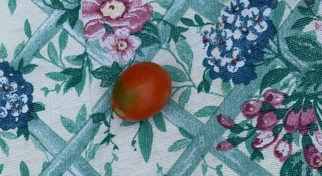 tiny tomato