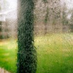 rainy day