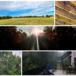 week in photos