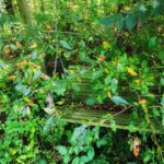 hidden swing