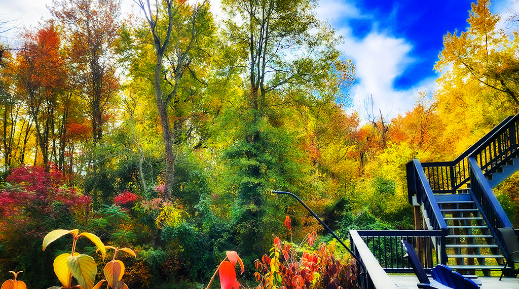 fall foliage in Indiana