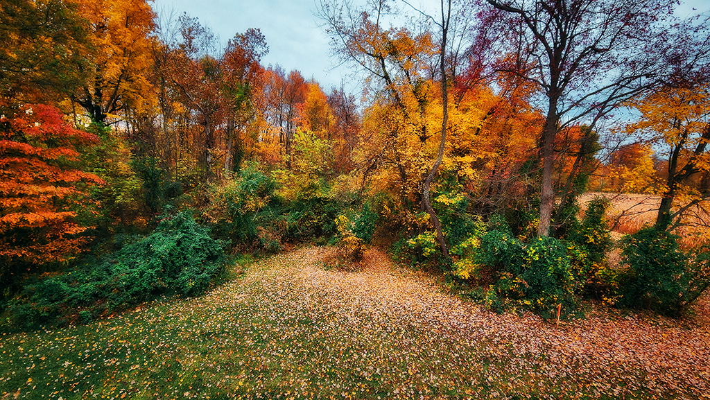 fall in indiana