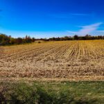 fall harvest complete