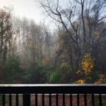 fall in Indiana