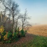 Indiana fall