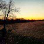 sunset 7 of 52