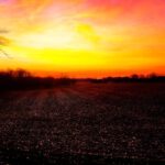 sunset #9