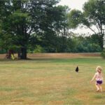 it's time to add chickens to my barndo life