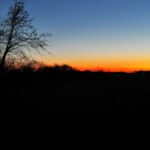 sunset #23 of 52 post birthday
