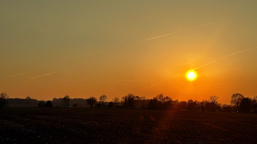 Sunset #27 of 52 – and i have dumb tulips