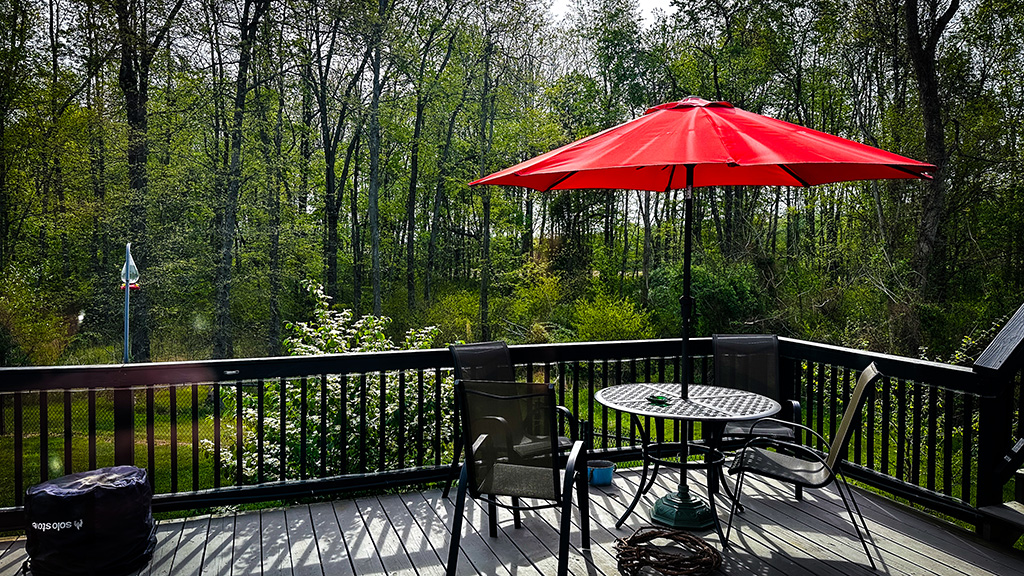 deck near the woods in spring