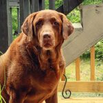 a bad back and bad air -- what's up with that?