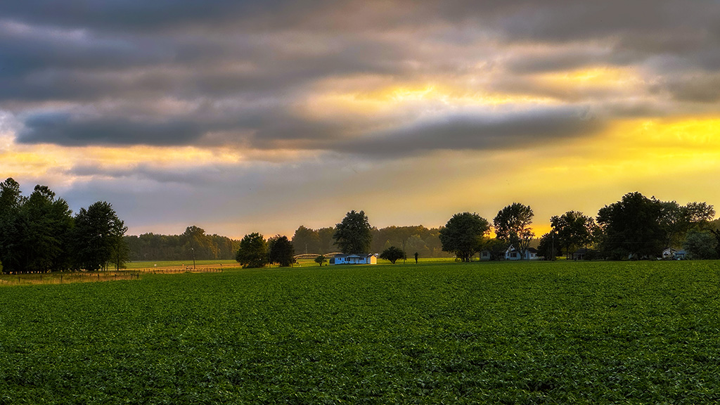 first day of summer and sunset #34