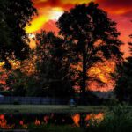 is this sunset #48 already??