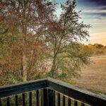 what to do on a day you don't feel like working