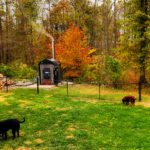 it won't look like fall for long