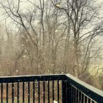yesterday's snow was a 2 on a scale of 1 to 10