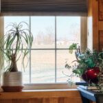 new home windows vs barndo windows