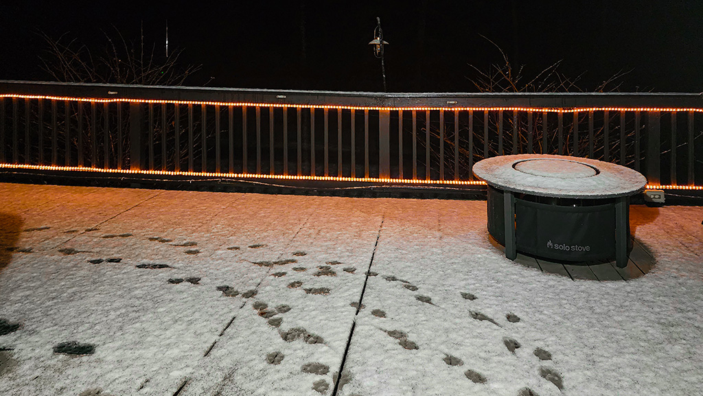 Light snow with puppy prints on the deck