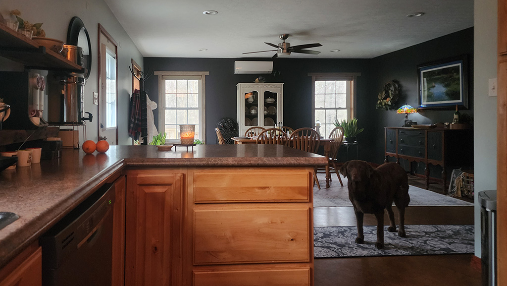 dining room from the kitchen