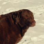 Dharma is confused by the weather