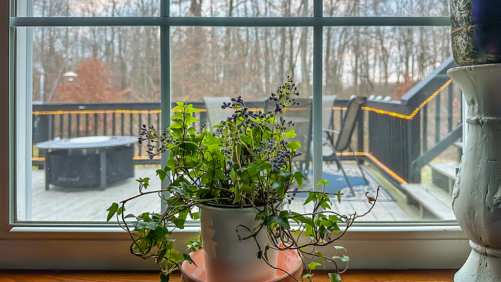 winter view through kitchen window