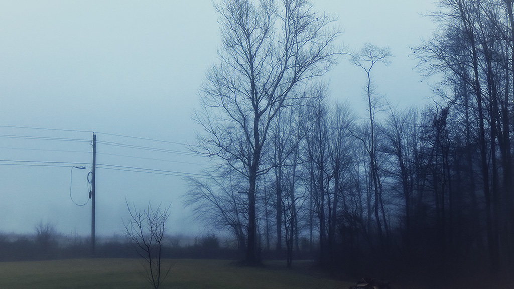 foggy morning in Indiana