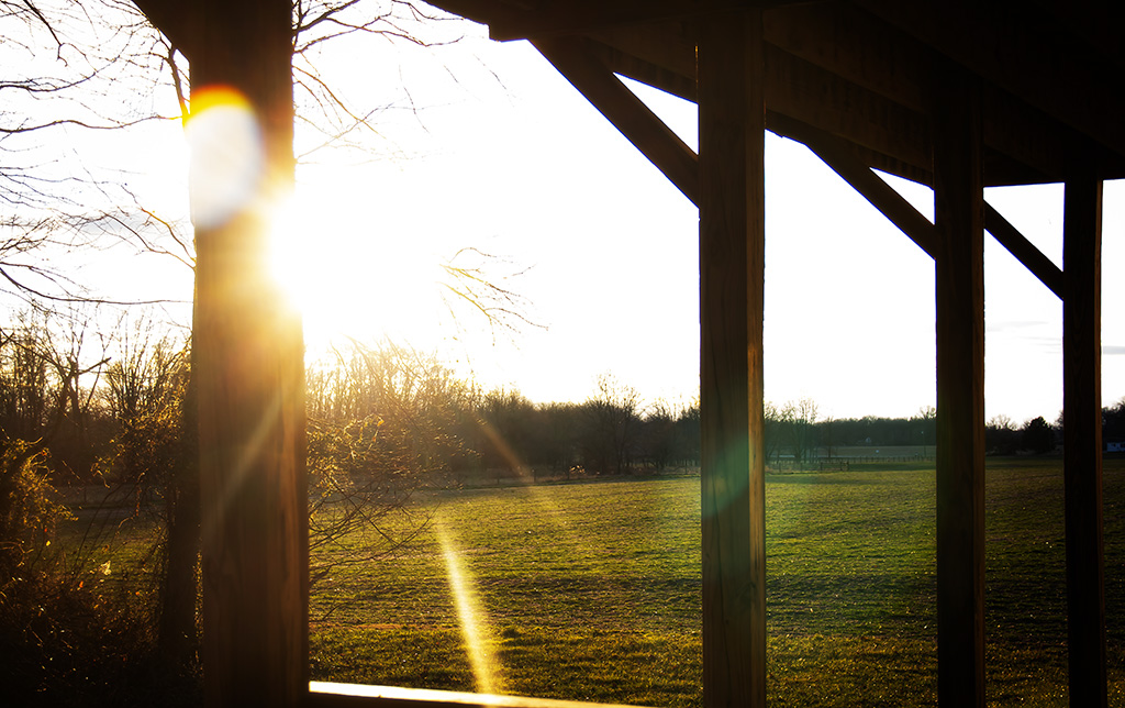 sunrise over a field