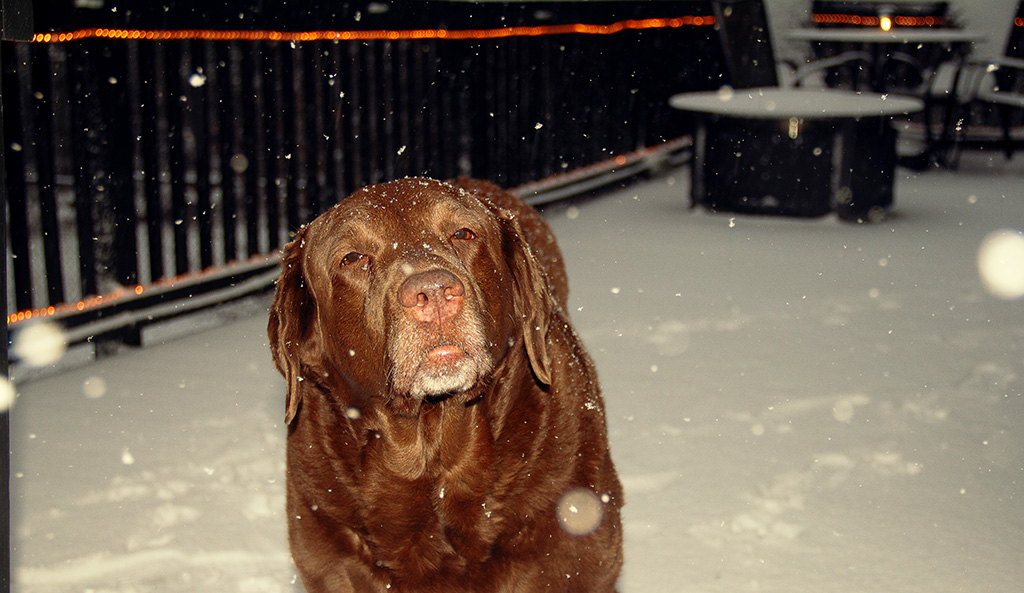 Dharma hopes we get at least a foot of snow!