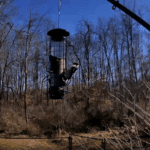 red-headed wood pecker on feeder