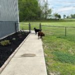 landscapers on the job