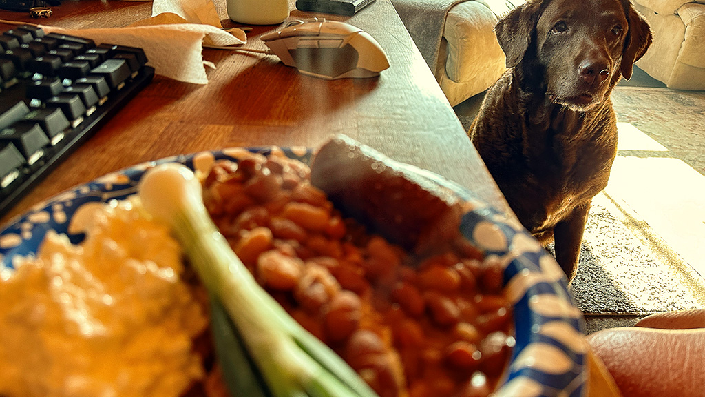 Dharma wants beans and cornbread