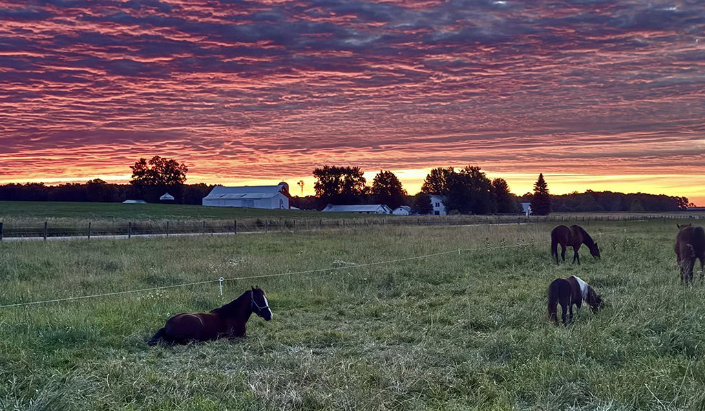 sunrise in Goshen, Indiana