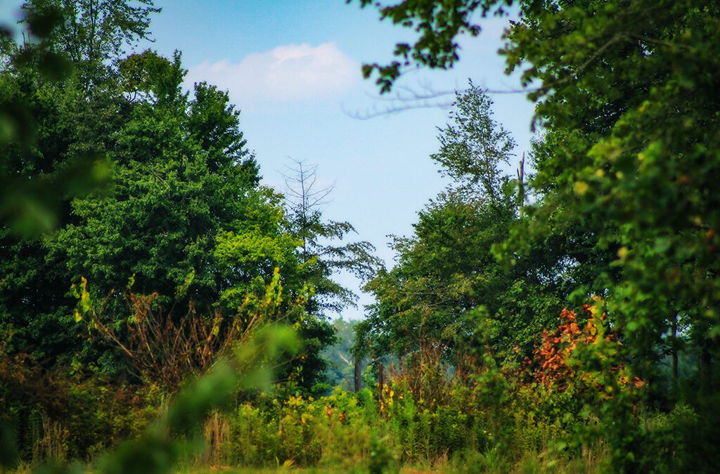 what an average day looks like for a retiree in the country