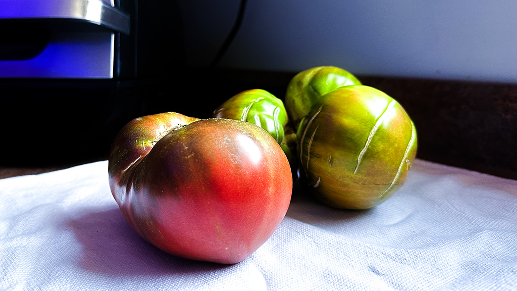 Cherokee tomatoes are purple