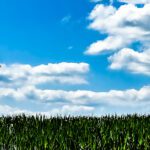 Indiana crop dusting